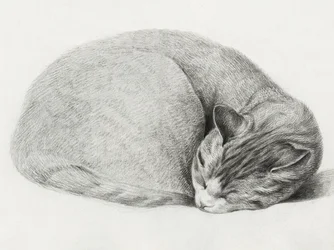 Opgerolde, liggende, slapende kat door Jean Bernard (1775–1883)