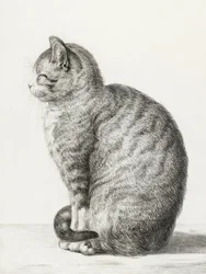 Zittende kat (1815)