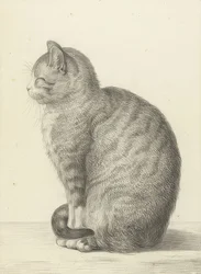 Zittende kat, naar links. 1815