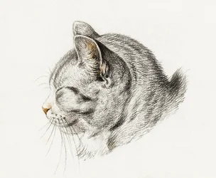 Schets van een kat (1813)
