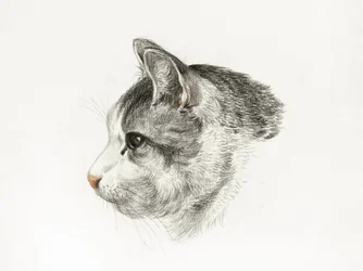 Schets van een kat (1819) Door Jean Bernard (1775–1883)