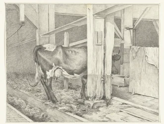 Staande koe in een stal, naar rechts