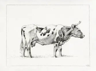 Staande koe (1820)
