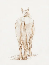 Staand paard (1815) Door Jean Bernard