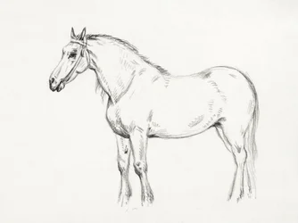 Staand paard (1818)