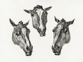 Drie paardenkoppen (1812)