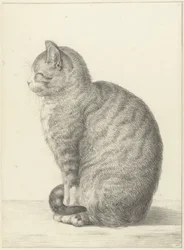 Zittende kat, naar links