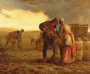 De aardappeloogst, 1855