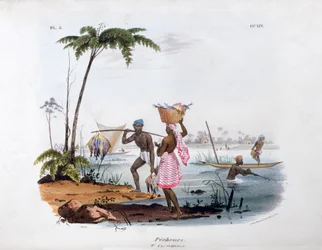 Visser, 1828