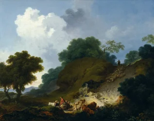 Kudde schapen gaat de heuvel af