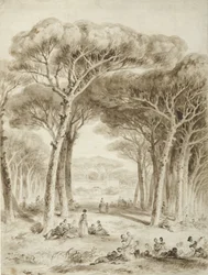 Landschap met parasoldennen