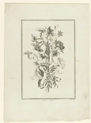 Boeket van narcis en winde