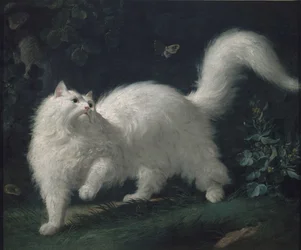 Angorakat die een vlinder achtervolgt, ca. 1760