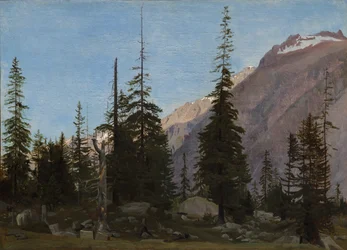 Alpenlandschap: De Handegg, Zwitserland
