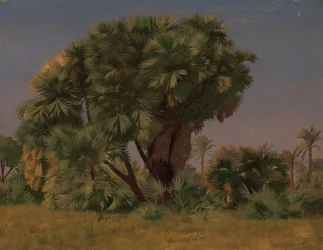 Studie van Palmbomen, waarschijnlijk 1868