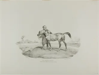 Een Arabisch paard, plaat 8 uit Diverse onderwerpen Getekend uit het leven en op steen (De Engelse Suite)