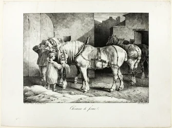 Boerderij Paarden