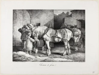 Boerderij Paarden