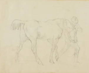 Stalknecht die een paard leidt