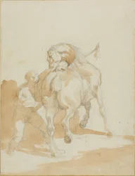 Staljongen verzorgt een paard