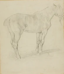 Staand Paard
