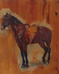 Studie van een paard