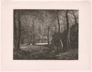 Het bos van Rochecardon