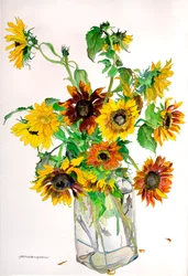 Karens Zonnebloemen