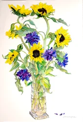 Zonnebloemen Bloemen