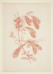 Zonder titel (Ideale bloemen), uit een set van zes