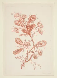 Zonder titel (Ideale bloemen), uit een set van zes