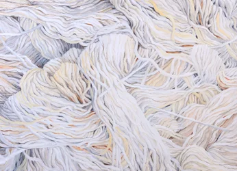 Wolwit, 2013 (gouache op papier)