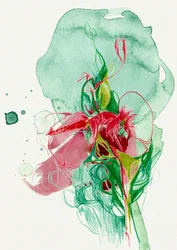 Levendige abstracte bloem