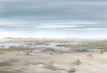 Mistig moeraslandschap