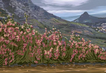 Roze bloemen en uitzicht op de bergen