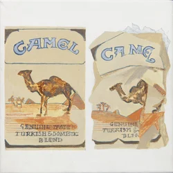 Camel Sigarettenpakjes