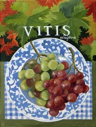 Vitus (druiven), 2014 (acryl op doek)