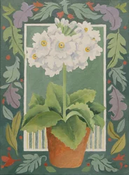 Witte Primula (acryl)