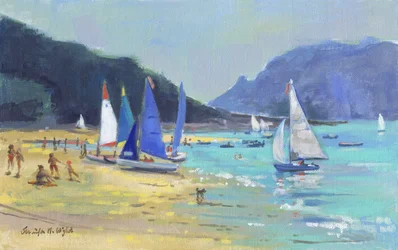 Salcombe Zeilboten