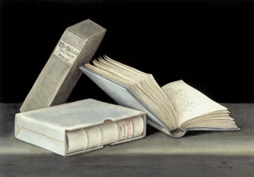 Boek