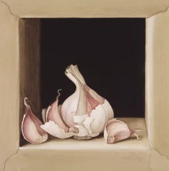 Knoflook, 2005