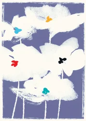 Witte Bloemen