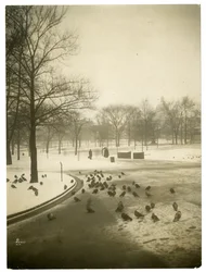 Ongewoon koud in de Common, Boston, VS, ca. 1902-10