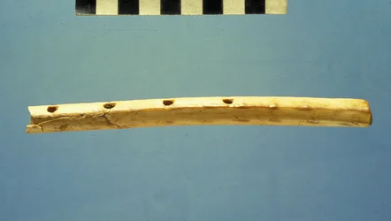 Fluit, Stad van David, c.799-600 v.Chr. (bot)
