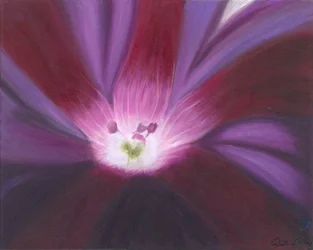 Paarse bloemengloed