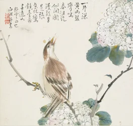 Een Chinese Hwamei, 1857