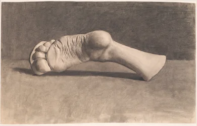 Tekening naar gips. Een voet