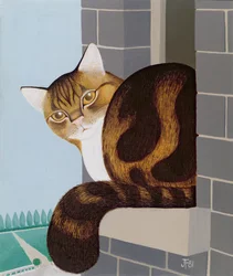 Kat op een vensterbank