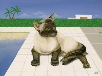 Siamese kat bij een zwembad