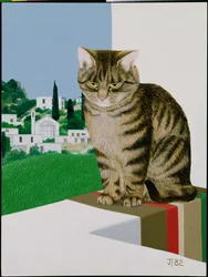 Cyperse kat in het raam